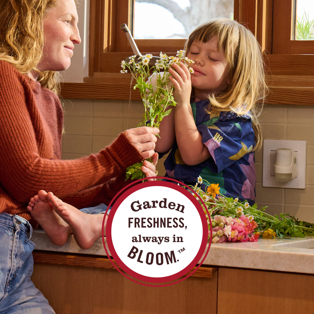 Dandelion Plug In Scented Oil Warmer With Refill