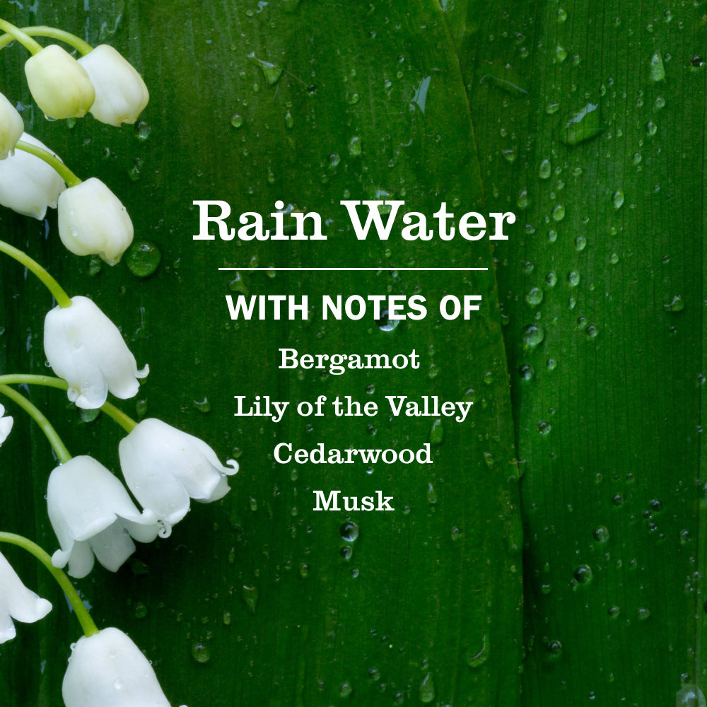 Rain Water Plug In Scented Oil Refill, 2-Pack
