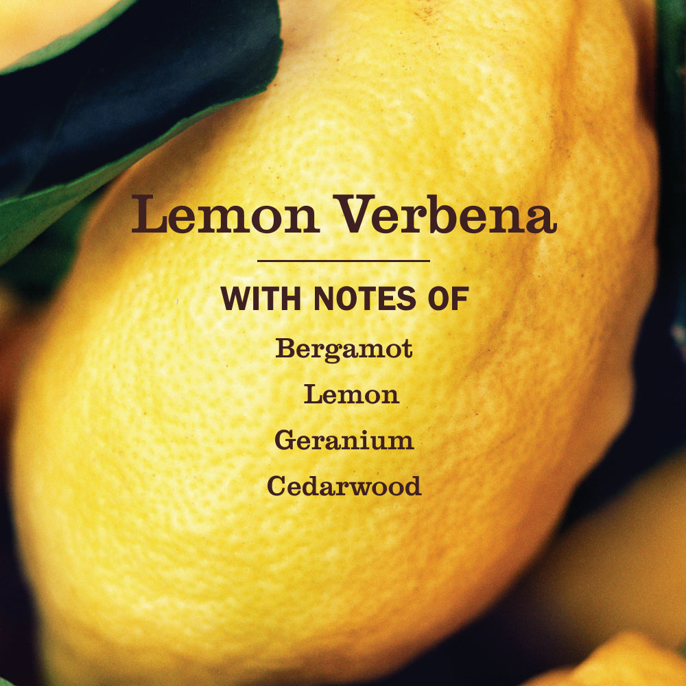 Lemon Verbena Soy Candle Large
