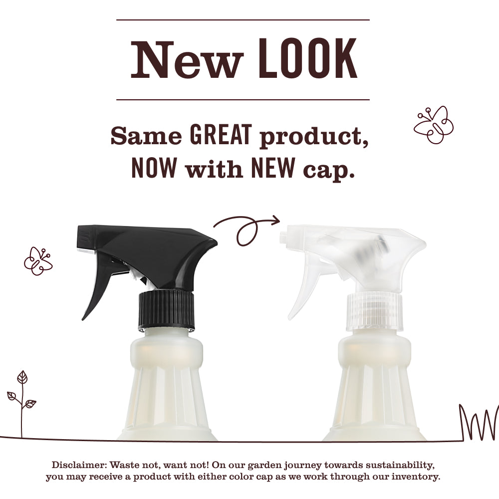 Snowdrop Multi-Surface Everyday Cleaner
