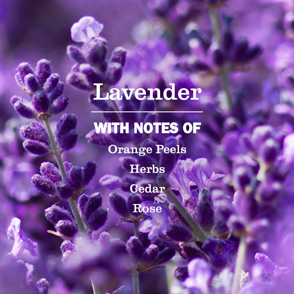 Lavender Soy Candle Large