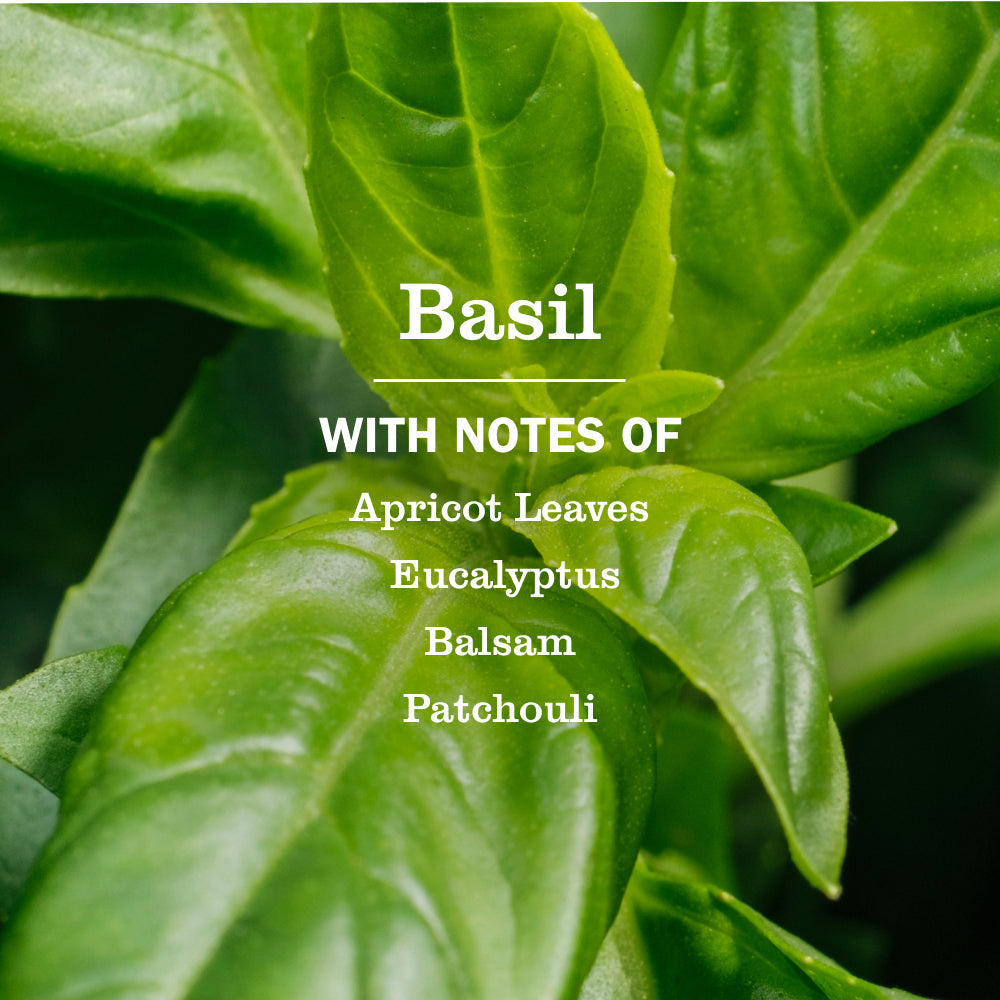 Basil Multi-Surface Everyday Cleaner