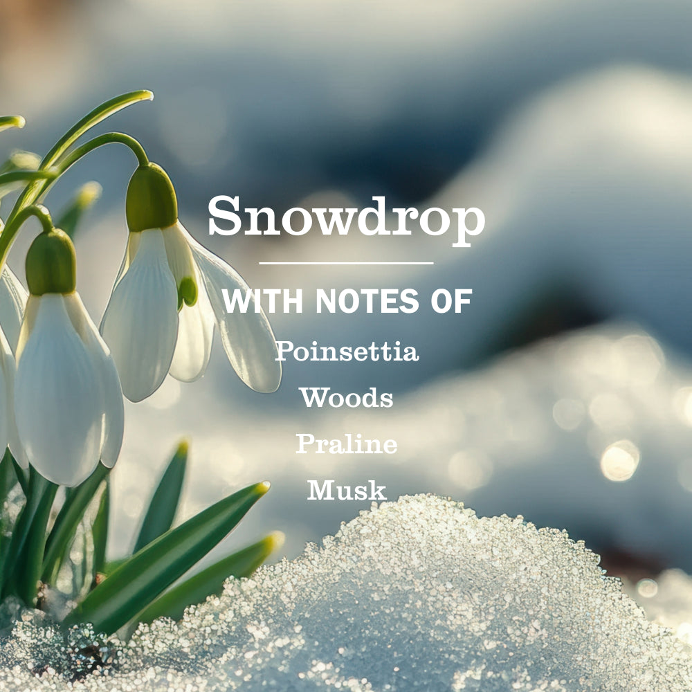Snowdrop Soy Candle Large